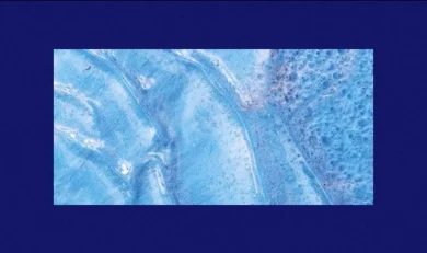 Fon Román estrena single, En Blanco IX
