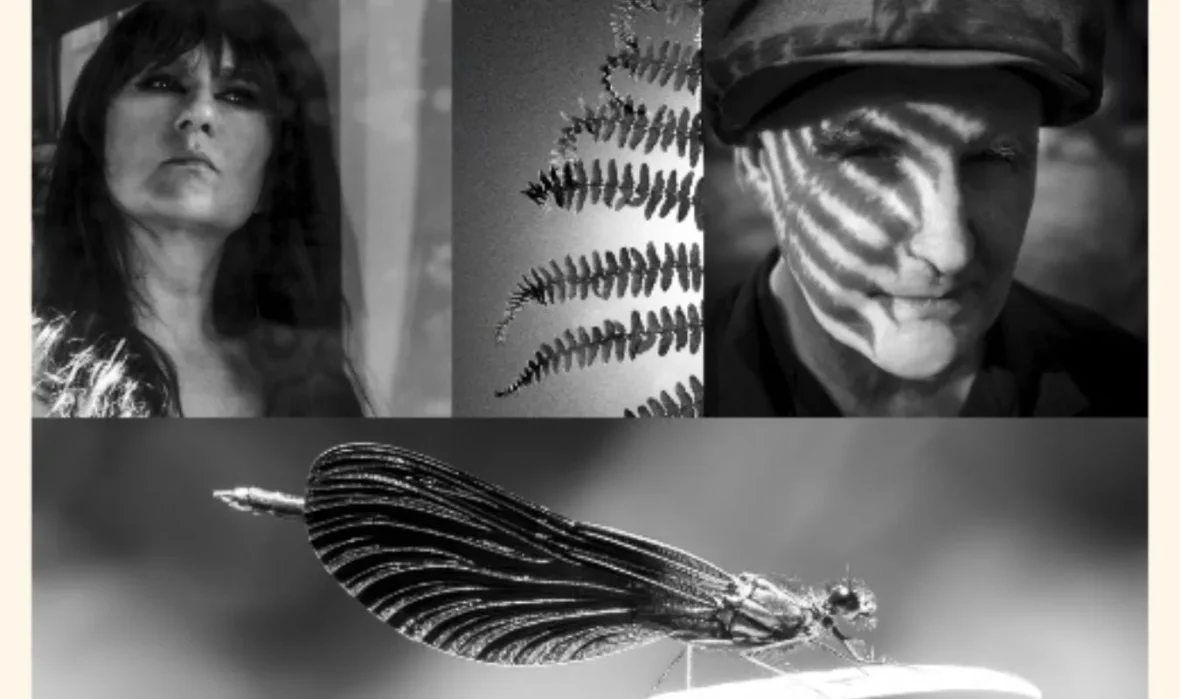 Amaral presenta Los Demonios del Fuego