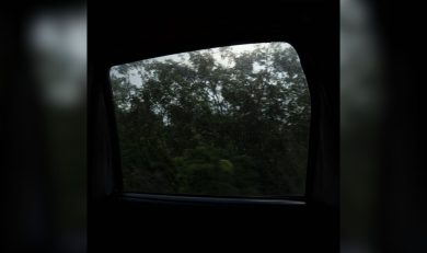 Nuevo disco de Bernal